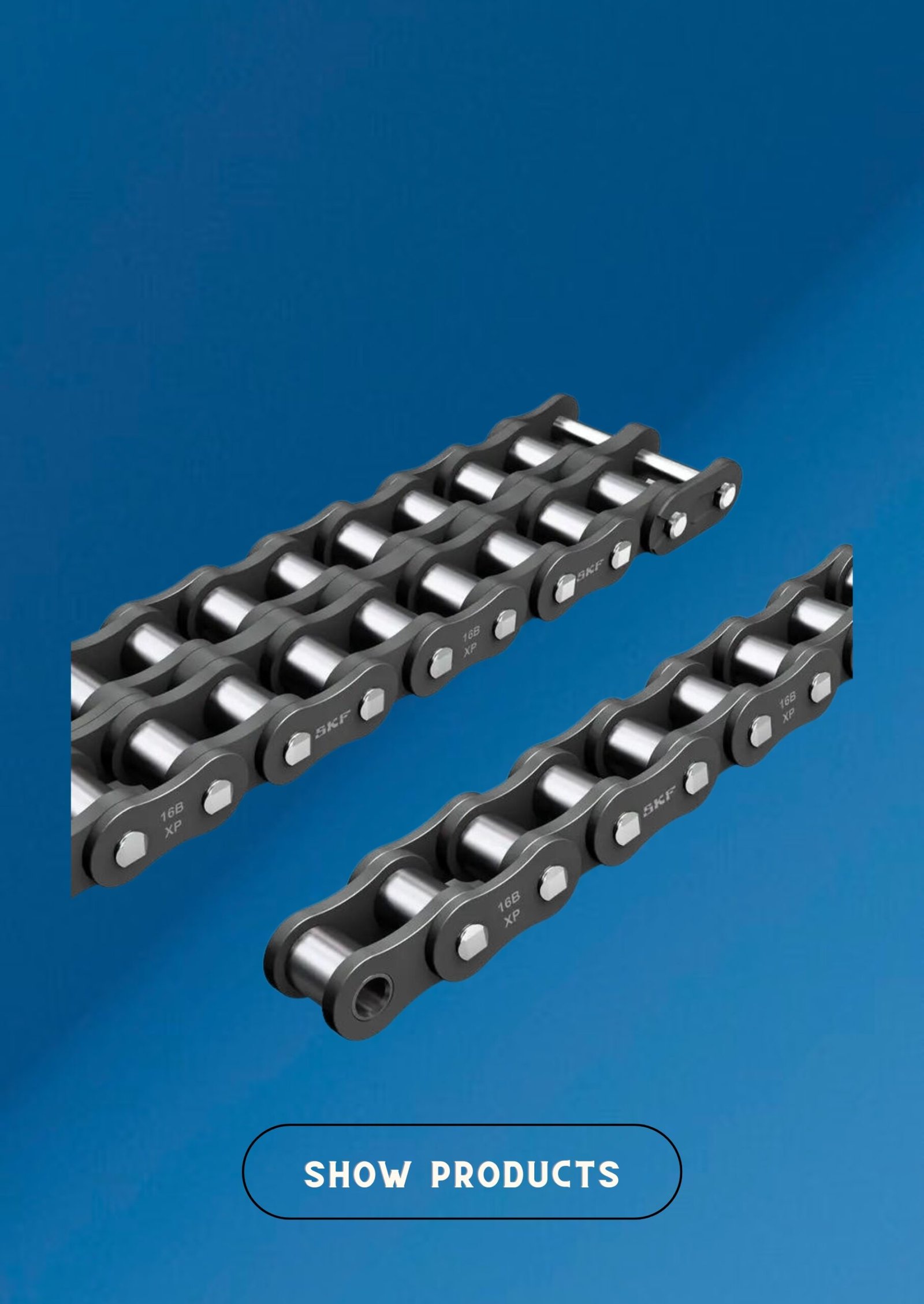 Roller Chain